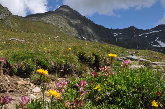 S&uuml;dtirol, Hirzer