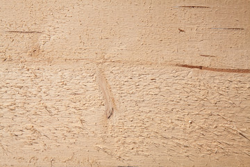Fresh wooden studs