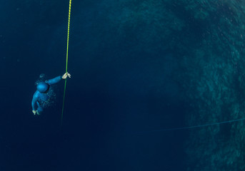 Freediver