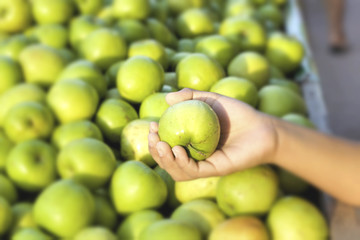 Green apples in the market