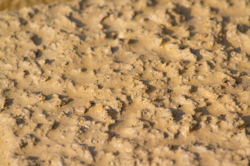 dry mud brick for natural background