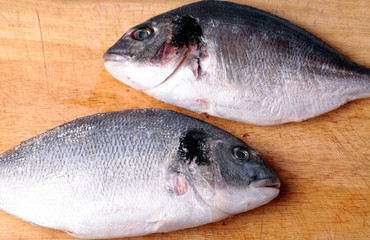 Two uncooked fishes dorado on wood background