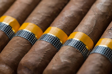 close view on cuban cigars