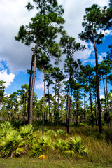 Everglades National Park