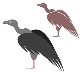 Vulture