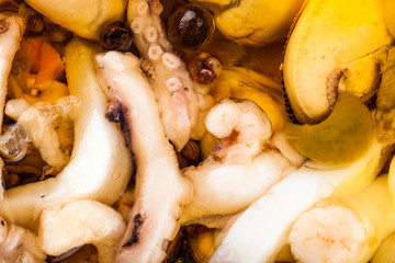 background mix of seafood