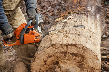 Log Cutting