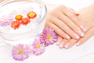 Obraz na płótnie Canvas french manicure with colorful chrysanthemum