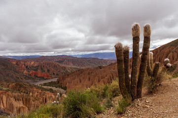 Mountains of Bolivia, altiplano