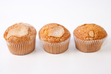 Traditional spanish madeleines