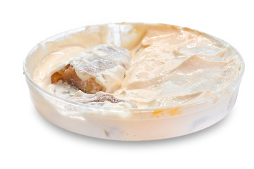 Herring in cheese sauce