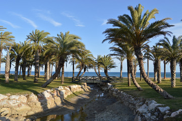 Fototapeta na wymiar Torremolinos, playa, palmeras, Málaga, Andalucía, paisaje