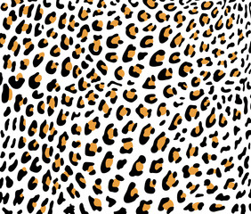 Leopard skin vector