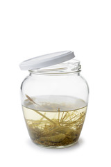 A paunchy open glass jar with some gherkins and liquid inside