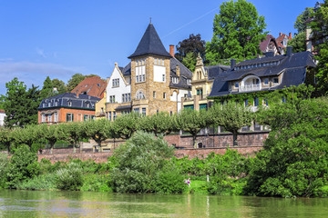 Fototapeta na wymiar Wohnen am Neckar
