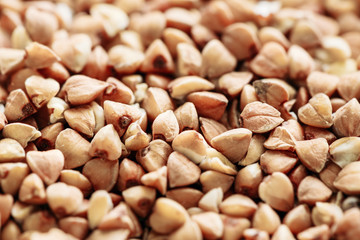 Buckwheat Background, Texture. Healthy Food.