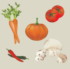 Set of Vector Vegetables. Tomatoes, Peppers, Mushrooms, Carrot,