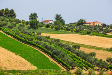 Fototapeta na wymiar rural landscape with houses standing alone in the province of Tu