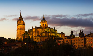 Fototapeta na wymiar Cathedral of Salamanca in evening