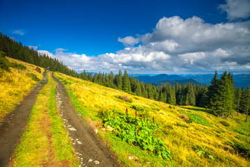 Carpatian summer landscape.