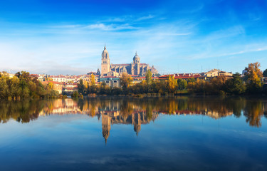 Salamanca with Tormes River - obrazy, fototapety, plakaty