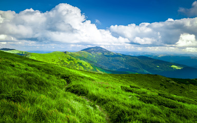 Carpatian summer landscape.