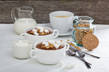 Chocolate banana oatmeal