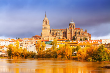 Fototapeta na wymiar Salamanca Cathedral in november