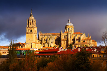 Fototapeta na wymiar view of Cathedral in Salamanca