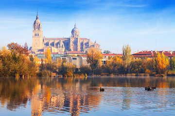 Salamanca Cathedral from Tormes River