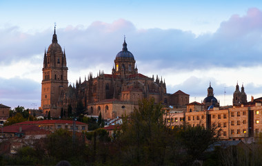 Fototapeta na wymiar twilight view of Cathedral