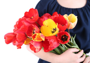 Colorful tulips in female hands isolated on white