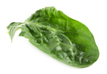 Spinach leaf isolated on white