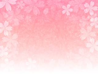 桜　花　背景