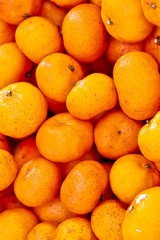Close up of Seedless oranges