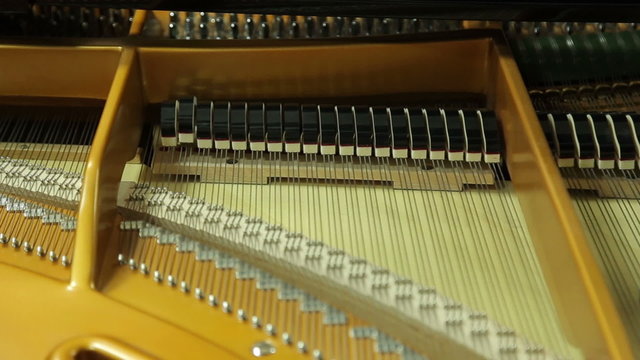 Work hammers inside the grand piano with the lid open 