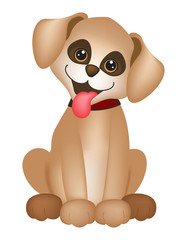 Dog / puppy