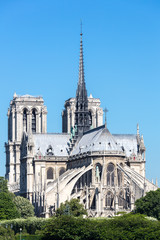 Fototapeta na wymiar Cathedral Notre Dame Paris