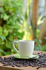 coffee bean