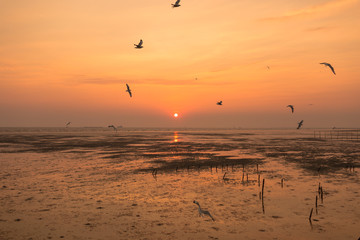 Fototapeta na wymiar Natural landscape with sunset time.