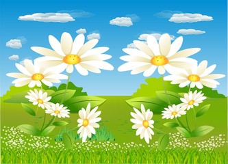 wiosenna łąka, © klatki