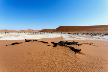 Sossusvlei beautiful landscape of death valley, namibia