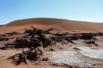 Obraz premium Sossusvlei beautiful landscape of death valley, namibia