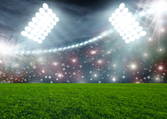 Fototapeta premium Piłka nożna na zielonej arenie stadionu