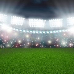 Fototapeta premium soccer green field