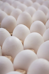 White chicken eggs in the pan