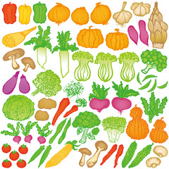 野菜　マルシェ　イラスト
