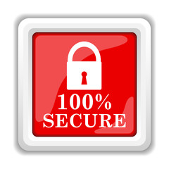 100 percent secure icon