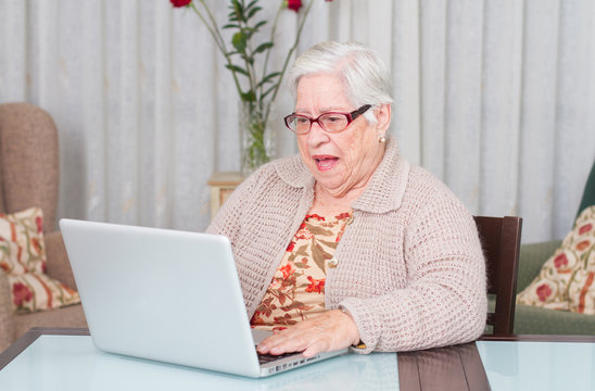 Grandmother astonished using laptop at home.