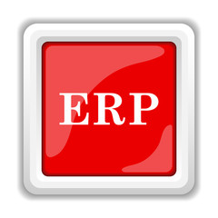 ERP icon